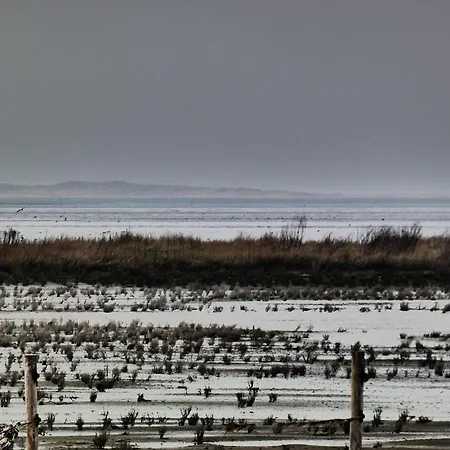 Sued * Neuharlingersiel