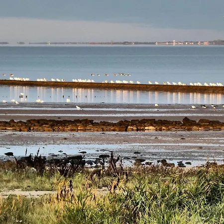 Sued Neuharlingersiel