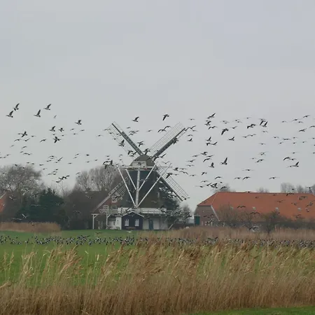Sued * Neuharlingersiel